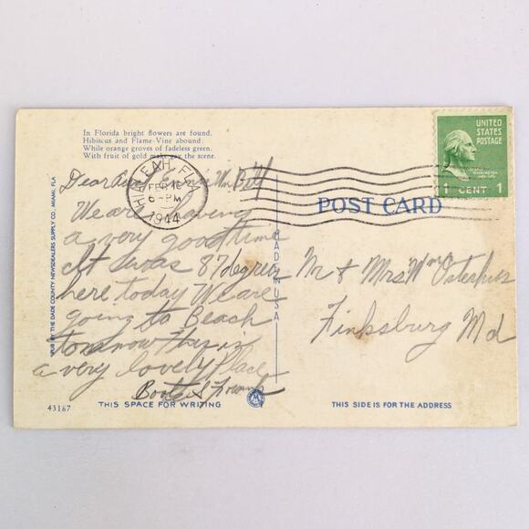 Hedge of Flame Vine & Hibiscus Florida 1940s Linen Postcard FL PC 1944 Hialeah - Picture 2 of 2